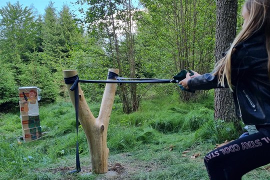 Lázeňské lesy připravují zábavnou stezku a výstavu řezbářské umění