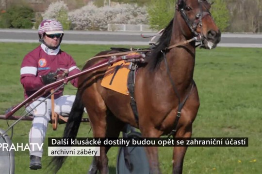 Další klusácké dostihy budou opět se zahraniční účastí