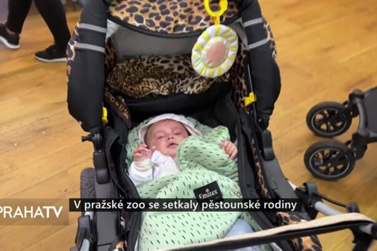 V pražské zoo se setkaly pěstounské rodiny