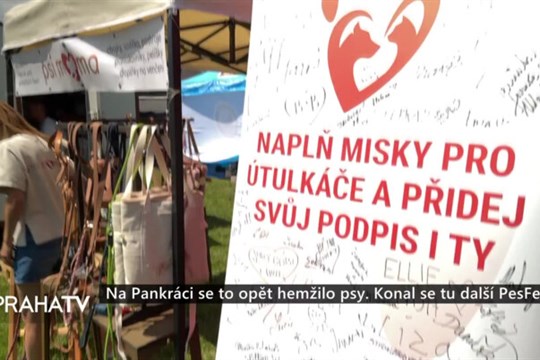 Na Pankráci se to opět hemžilo psy. Konal se tu další PesFest