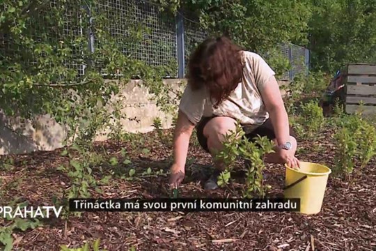 Třináctka má svou první komunitní zahradu