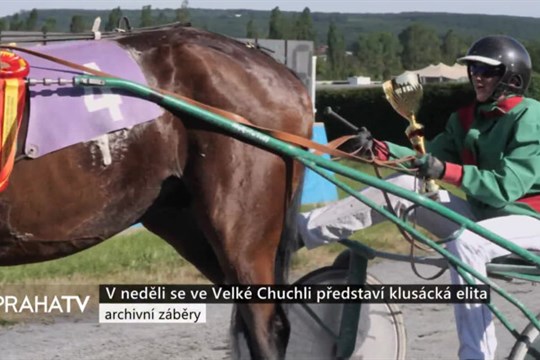 V neděli se ve Velké Chuchli představí klusácká elita