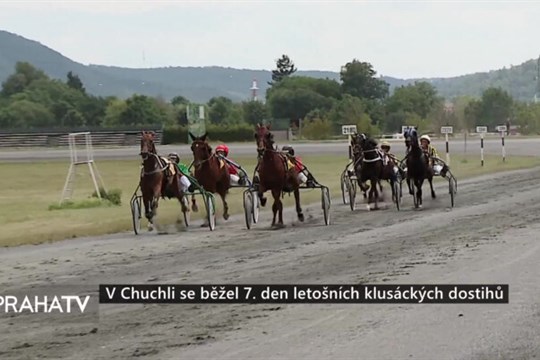V Chuchli se běžel 7. den letošních klusáckých dostihů
