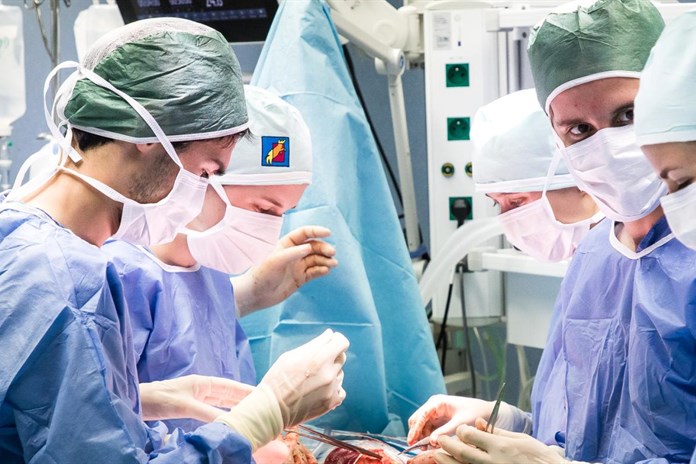 Medici operují na škole experimentální chirurgie v Plzni prasata
