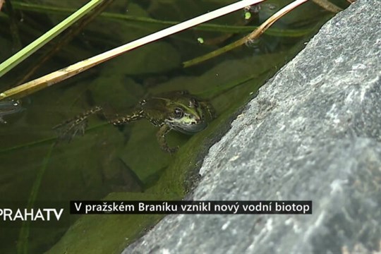V pražském Braníku vznikl nový vodní biotop