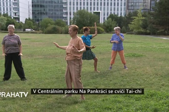 V Centrálním parku Na Pankráci se cvičí Tai-chi