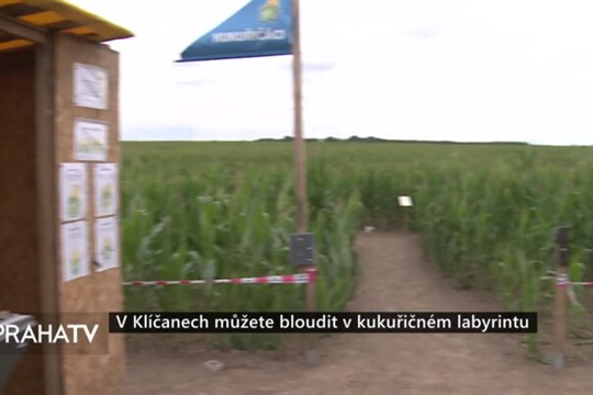V Klíčanech můžete bloudit v kukuřičném labyrintu