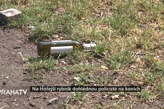 Na Hořejší rybník dohlédnou policisté na koních