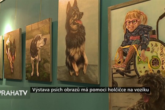 Výstava psích obrazů má pomoci holčičce na vozíku