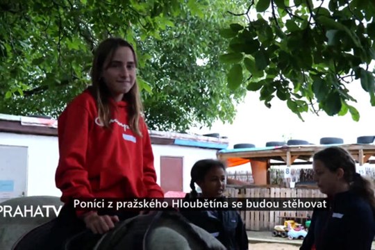 Poníci z pražského Hloubětína se budou stěhovat