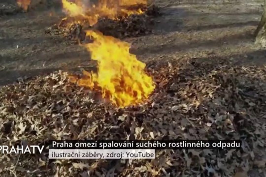 Praha omezí spalování suchého rostlinného odpadu