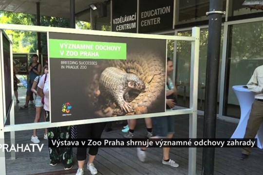 Výstava v Zoo Praha shrnuje významné odchovy zahrady