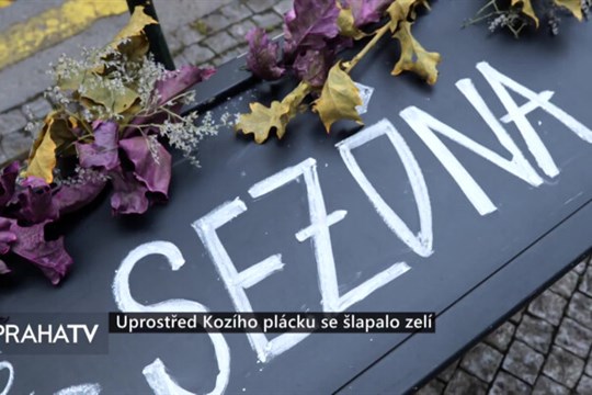 Uprostřed Kozího plácku se šlapalo zelí