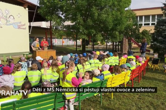Děti z MŠ Němčická si pěstují vlastní ovoce a zeleninu