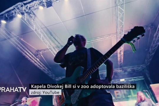 Kapela Divokej Bill si v zoo adoptovala baziliška