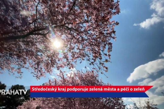 Středočeský kraj podporuje zelená města a péči o zeleň