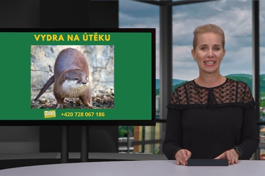 Zprávy UTV 24. 10. 2023