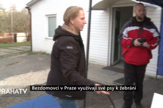 Bezdomovci v Praze využívají své psy k žebrání