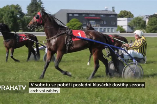 V sobotu se poběží poslední klusácké dostihy sezony