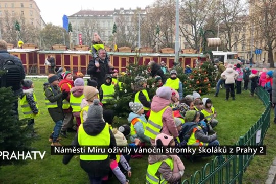 Náměstí Míru oživily vánoční stromky školáků z Prahy 2