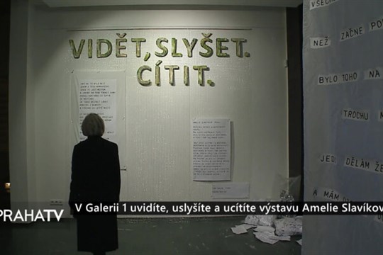 V Galerii 1 uvidíte, uslyšíte a ucítíte výstavu Amelie Slavíkové