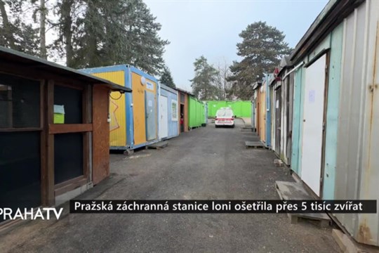 Pražská záchranná stanice loni ošetřila přes 5 tisíc zvířat