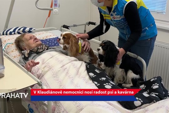 V Klaudiánově nemocnici nosí radost psi a kavárna
