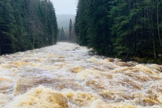 Šumavské řeky Vydra, Křemelná a Otava mají po deštích první povodňové stupně