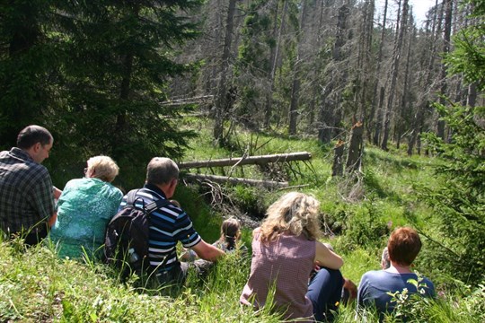 Divoká příroda NP Šumava loni lákala. Návštěvnost byla nižší, než v koronavirové době, ale vyšší, než před ní