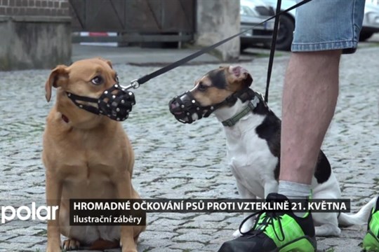 Aktuálně z Karviné: Hromadné očkování psů se koná 21. května