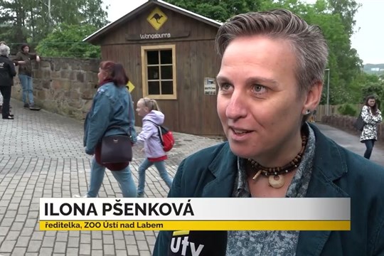 Zprávy UTV 21. 5. 2024
