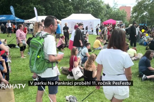 V parku Na Pankráci proběhl 11. ročník PesFestu