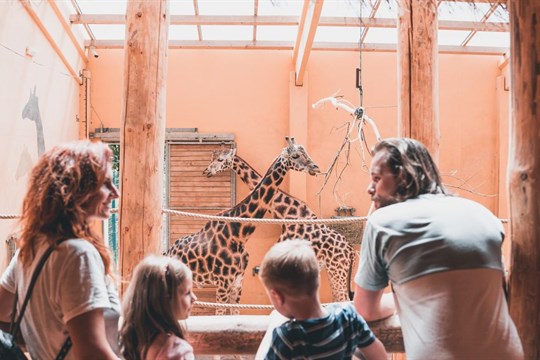 Pivovar a plzeňská zoo patří mezi 15 nejnavštěvovanějších turistických cílů v Česku
