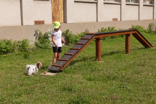 V ulici Svatováclavská vznikl nový psí výběh