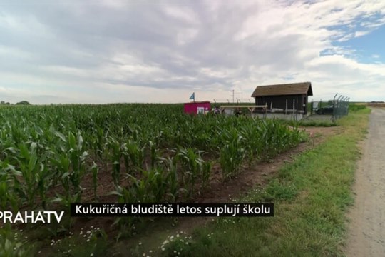 Kukuřičná bludiště letos suplují školu