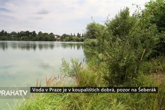 Voda v Praze je v koupalištích dobrá, pozor na Šeberák