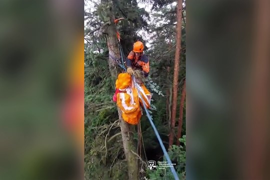Uvízla v korunách stromů, vysvobodili ji speciálně vycvičení hasiči