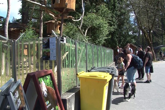 Olomoucká zoo hlásí vysokou návštěvnost