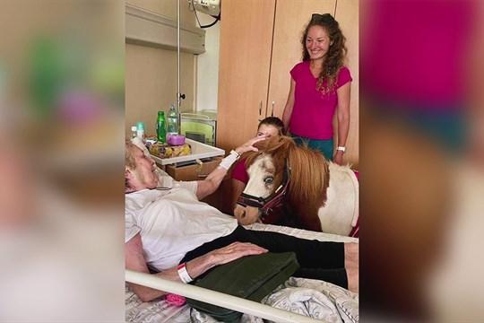 Na rehabilitační oddělení FNOL zavítali poníci