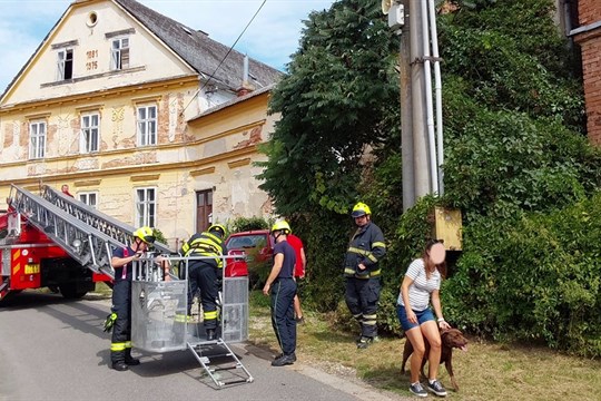 Hasiči zachránili psa z rozbité římsy