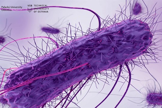 Nová antibiotika působí i proti vysoce odolným bakteriím