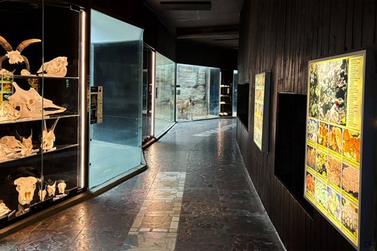 V olomoucké zoo je k vidění sbírka lebek zvířat