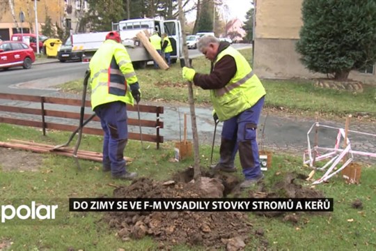 Do zimy se ve Frýdku-Místku vysadily stovky stromů a keřů
