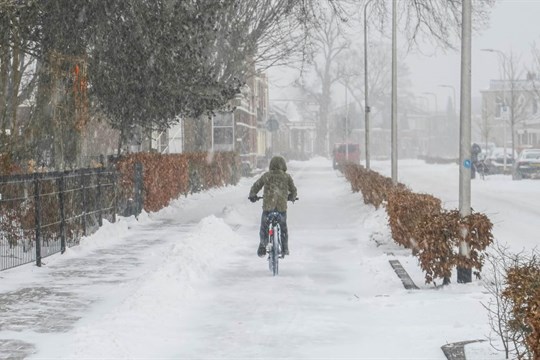 Do Lednové výzvy Do práce na kole se mohou zapojit nejen cyklisté