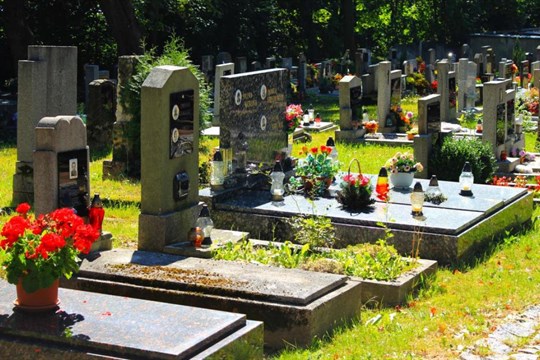 Město Chodov revitalizuje a rozvíjí městský hřbitov