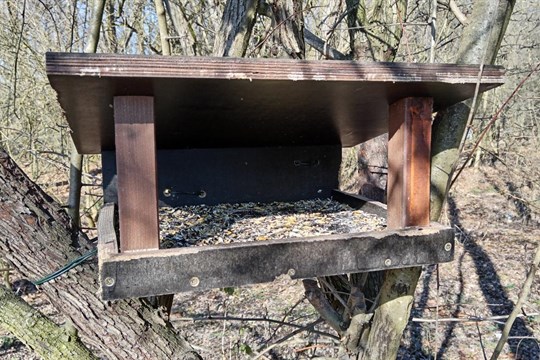 Božkovský ostrov má nové kvetoucí loučky, probíhají i kontroly ptačích budek
