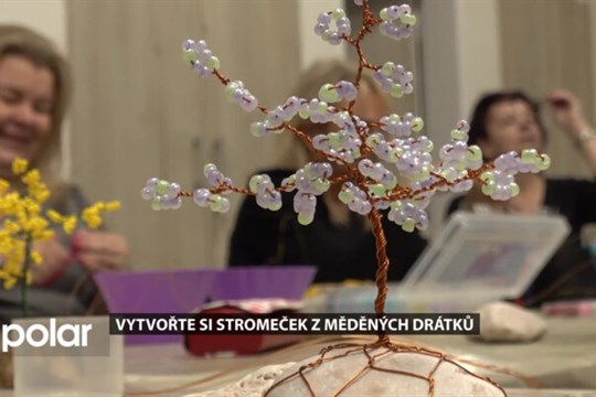 Na prvním workshopu drátování se tvořil populární stromeček pro štěstí