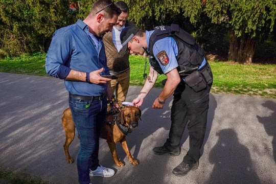 Městská policie v Plzni opět kontrolovala pejskaře