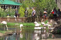 Dům přírody spojil oslavy Dne Země se zoologickou zahradou