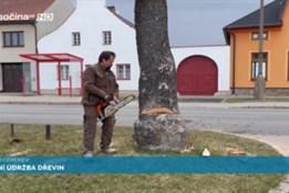Jarní údržba dřevin v Dolní Cerekvi
